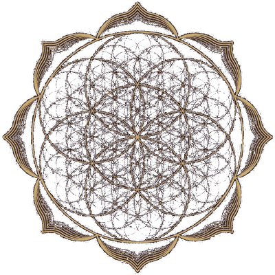 Fleur de Vie